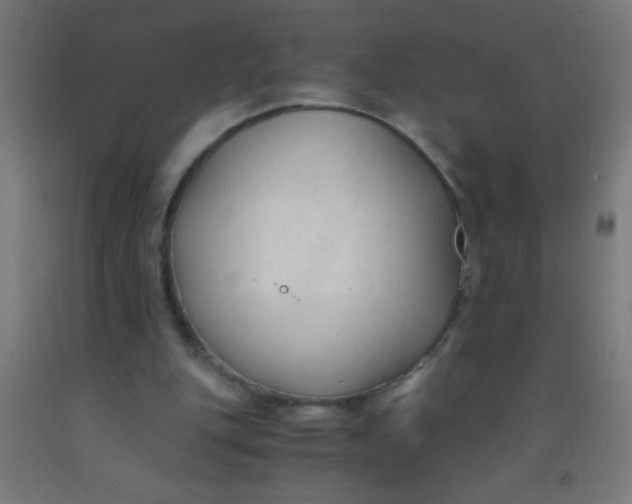 X0000092020151200709271556