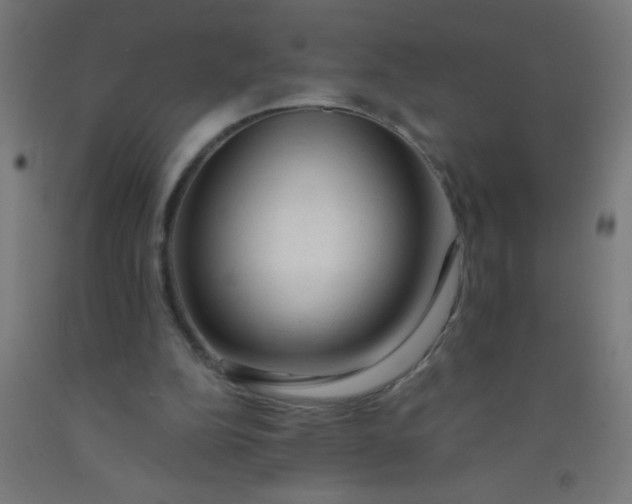 X0000092020152200709271556