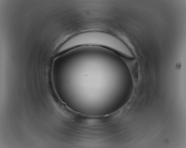 X0000092020154200709271556