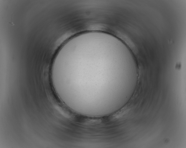 X0000092020155200709271556