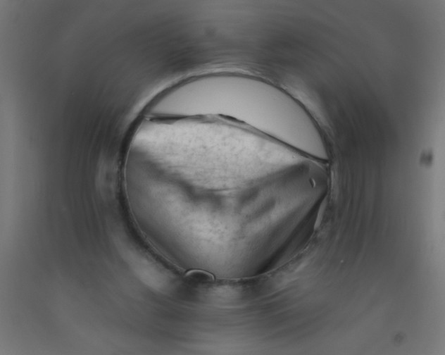 X0000092020156200709271556