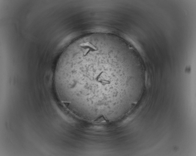 X0000092020157200709271556