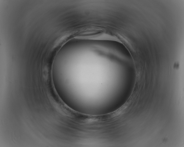 X0000092020158200709271556