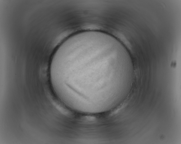 X0000092020159200709271556