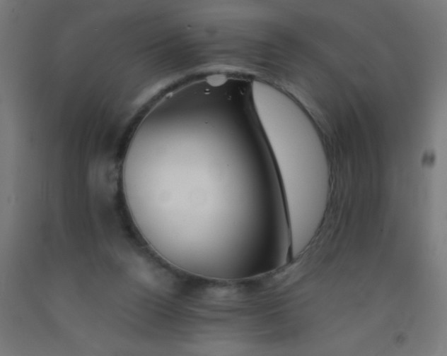 X0000092020160200709271556