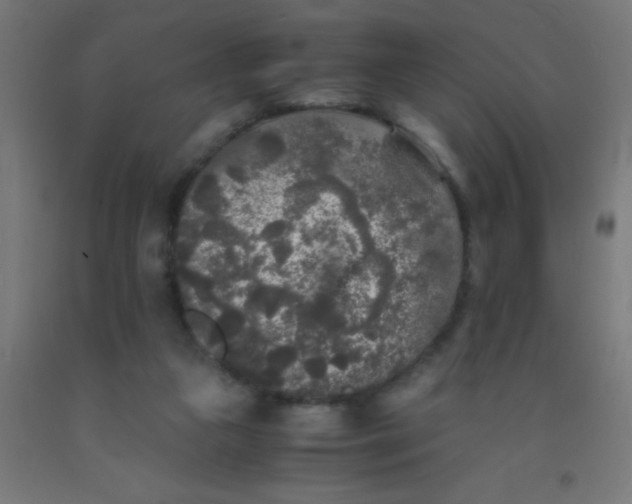 X0000092020161200709271556