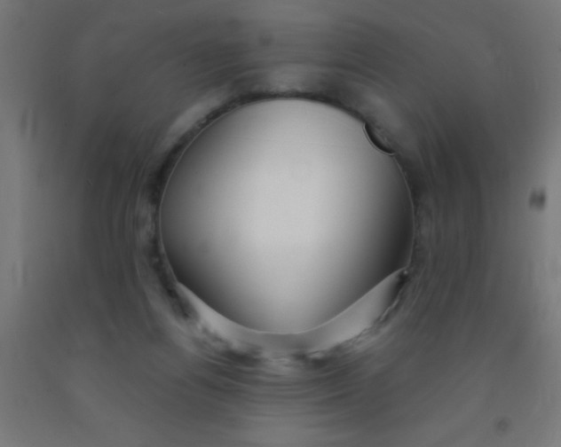 X0000092020164200709271556