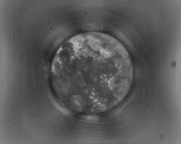 X0000092020165200709271556