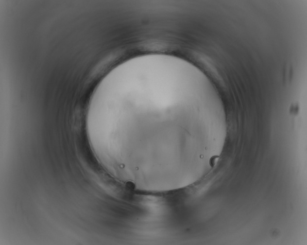 X0000092020167200709271556