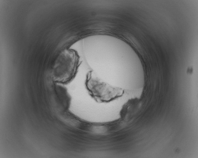 X0000092020169200709271556