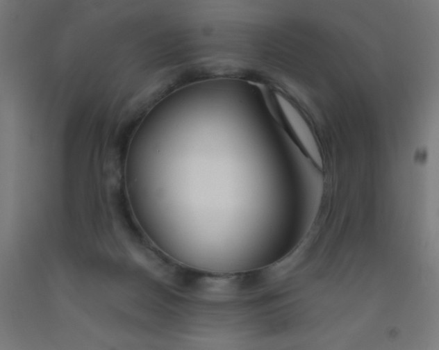 X0000092020170200709271556