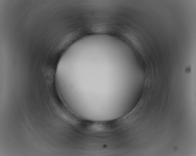 X0000092020171200709271556