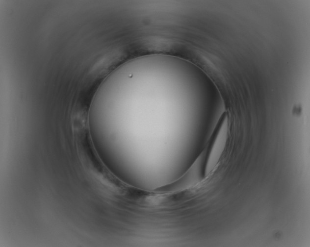 X0000092020172200709271556