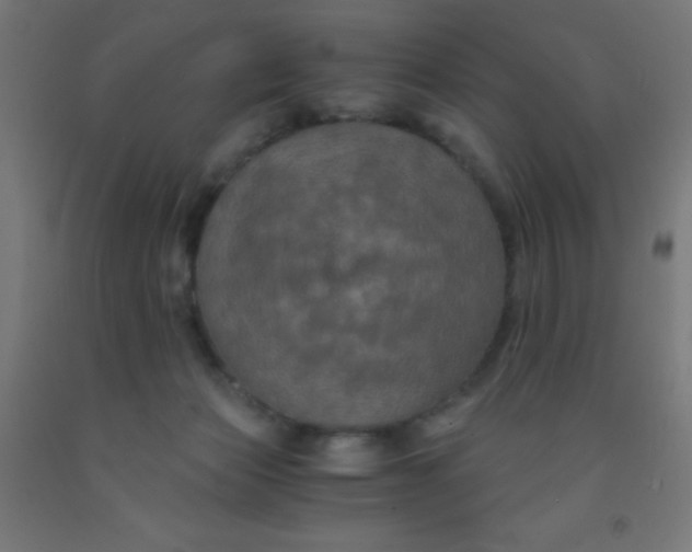 X0000092020173200709271556