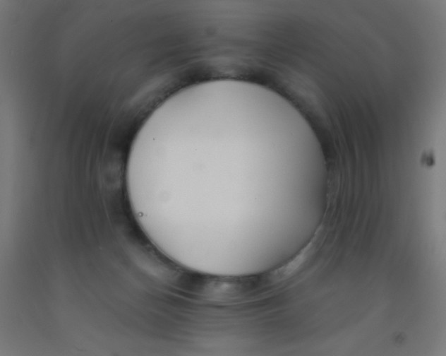 X0000092020174200709271556