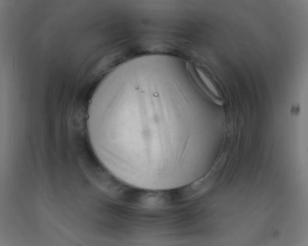 X0000092020175200709271556