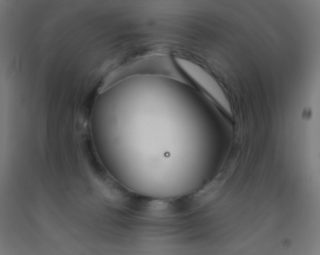 X0000092020176200709271556