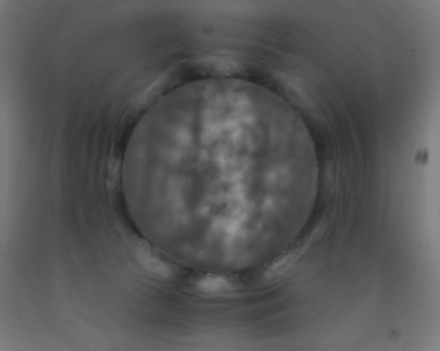 X0000092020177200709271556