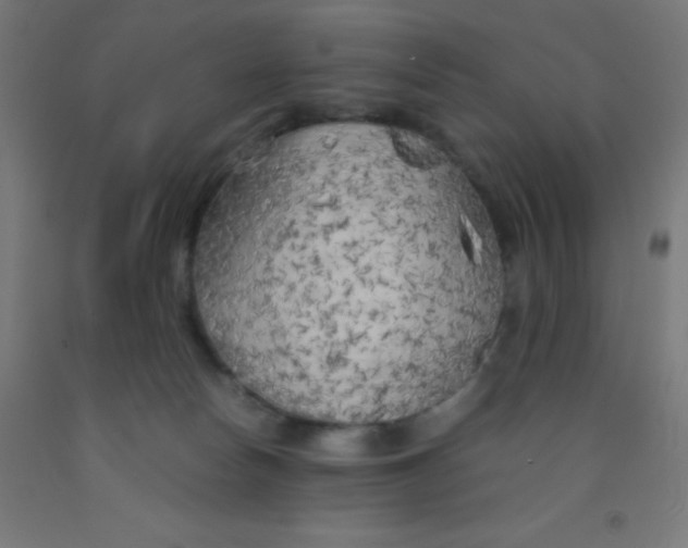 X0000092020178200709271556