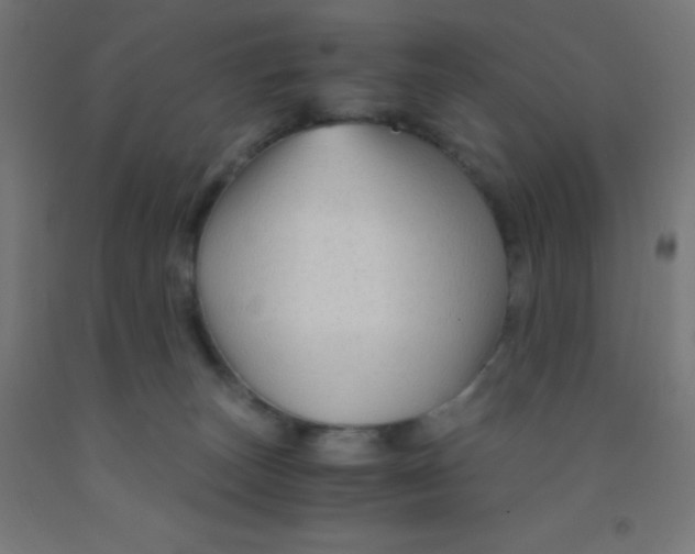 X0000092020179200709271556