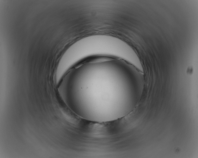 X0000092020180200709271556