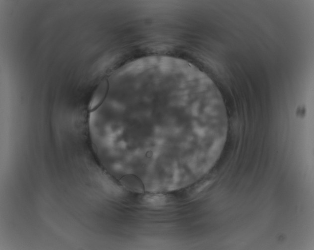 X0000092020181200709271556