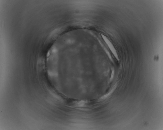 X0000092020182200709271557