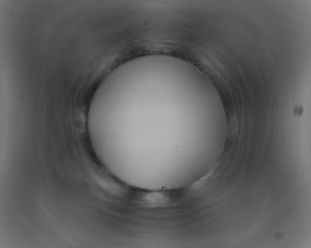 X0000092020183200709271557