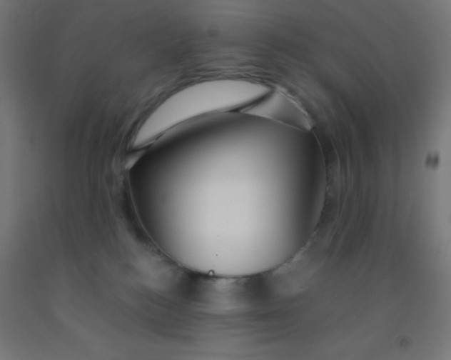 X0000092020184200709271557