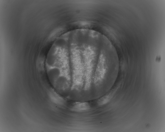 X0000092020185200709271557