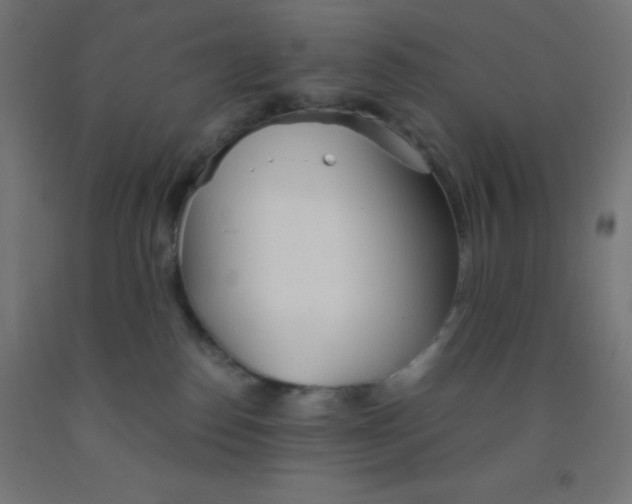 X0000092020186200709271557