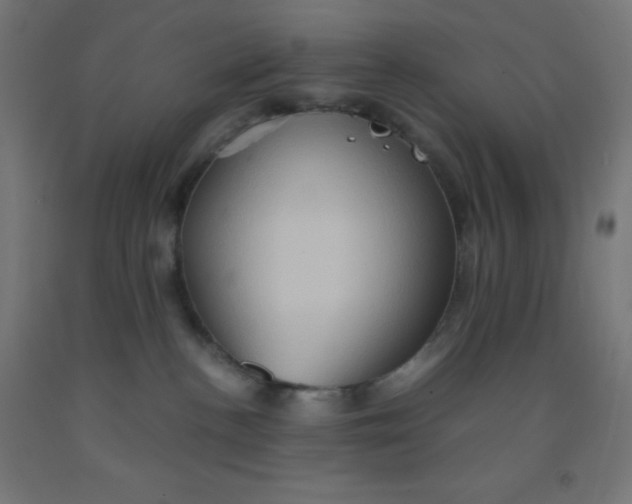 X0000092020188200709271557