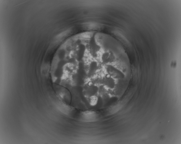 X0000092020189200709271557