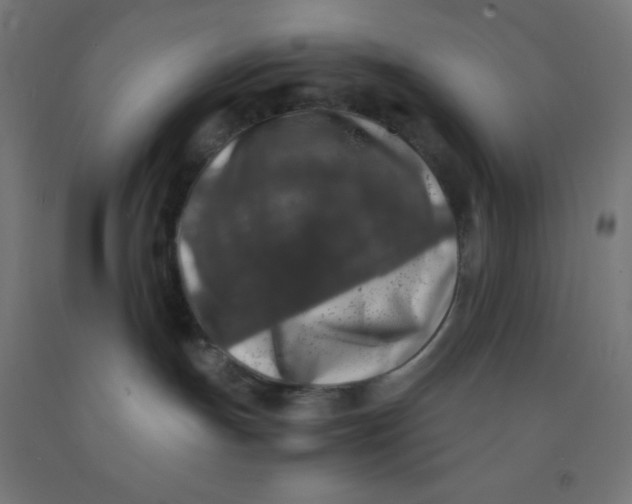 X0000092020191200709271557