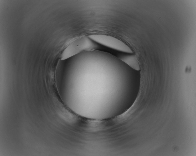 X0000092020192200709271557