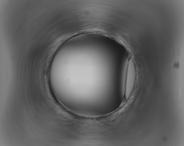 X0000092020193200709271556