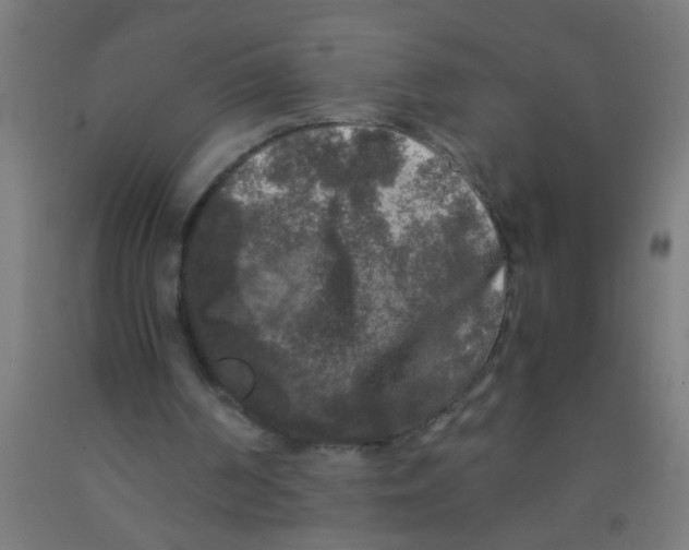 X0000092020194200709271556