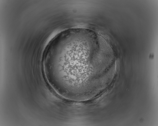 X0000092020195200709271556