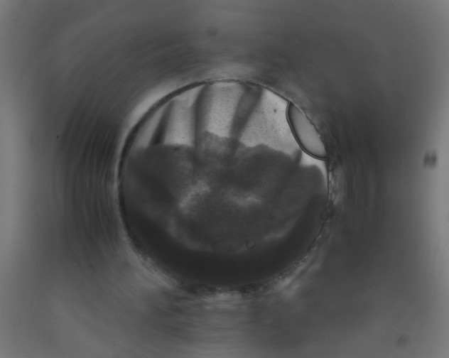 X0000092020196200709271556