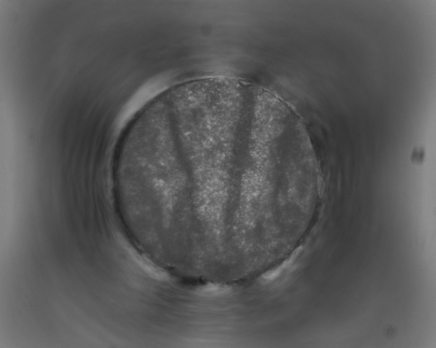 X0000092020198200709271556