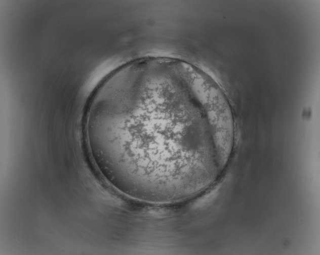 X0000092020199200709271556