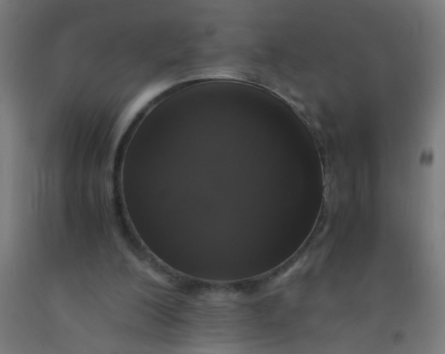 X0000092020200200709271556