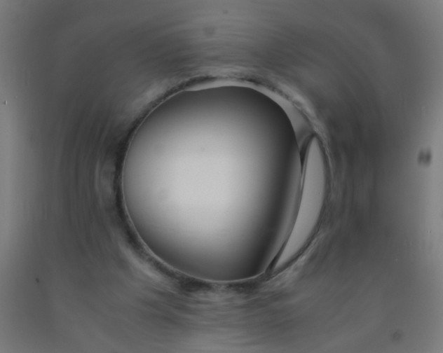 X0000092020201200709271556