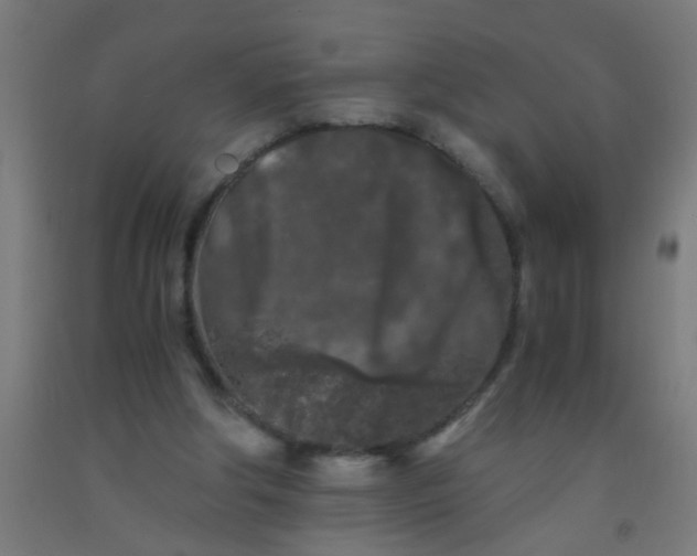 X0000092020202200709271556