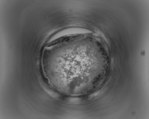 X0000092020203200709271556