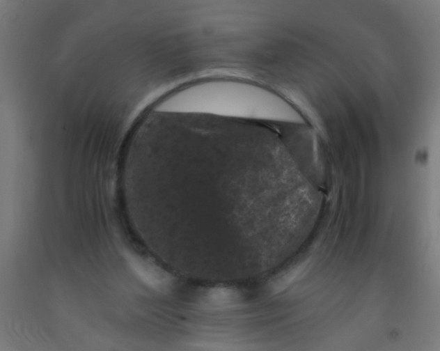 X0000092020204200709271556