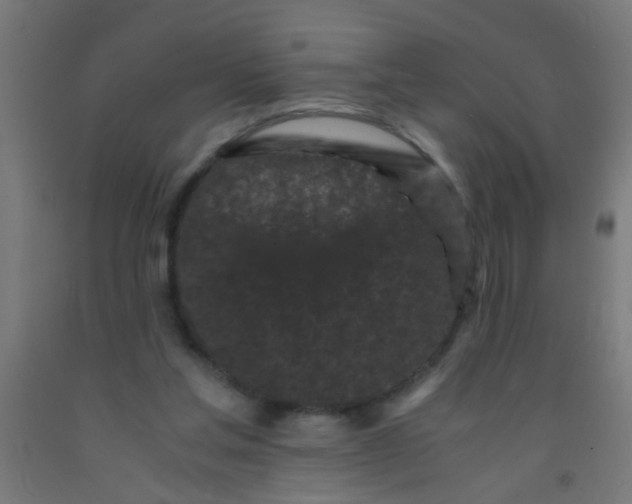 X0000092020205200709271556