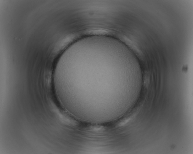 X0000092020206200709271556