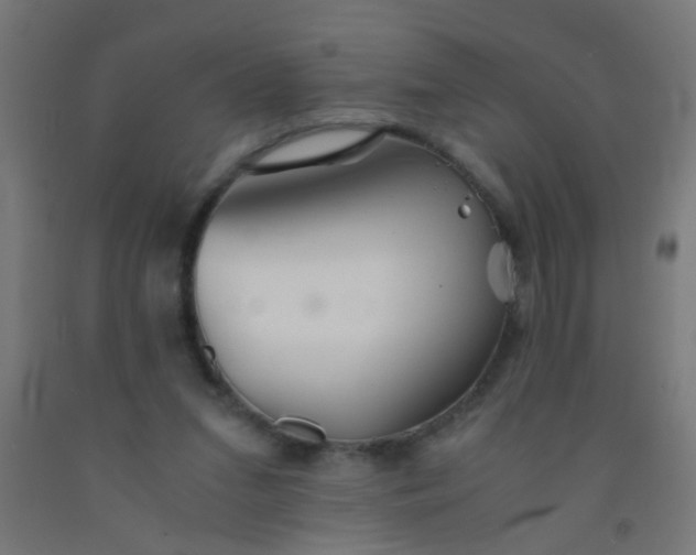 X0000092020207200709271556