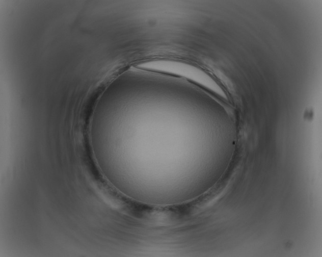 X0000092020209200709271556